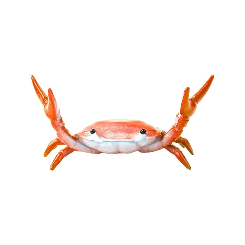 CrabFlex – Soporte de bolígrafo de cangrejo levantapesas