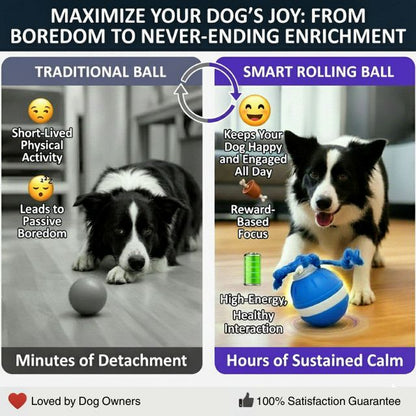 WagRoll – Bewegungsaktivierter Haustierball
