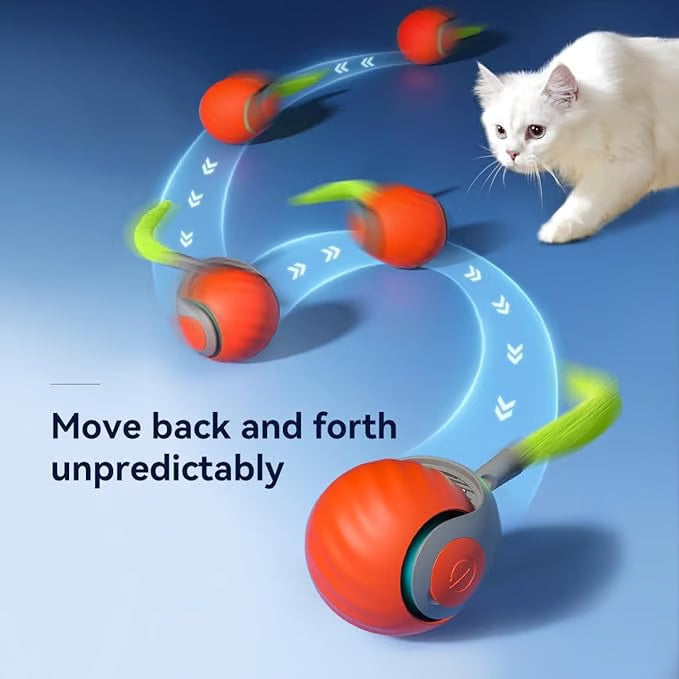 CatChase – Elektrischer rollender Ball