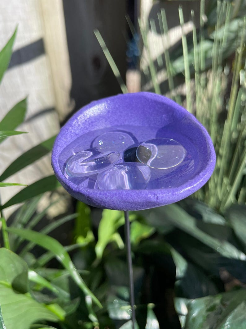 BeeHaven – Bestäubungsfreundliche Insekten- & Schmetterlingstränken