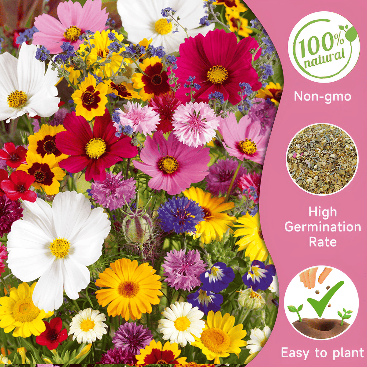 FloraBurst – Colección de semillas de flores perennes mixtas