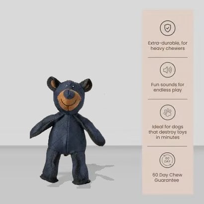 ToughPaws – Juguete para perros irrompible y resistente Unbreaka-Bear