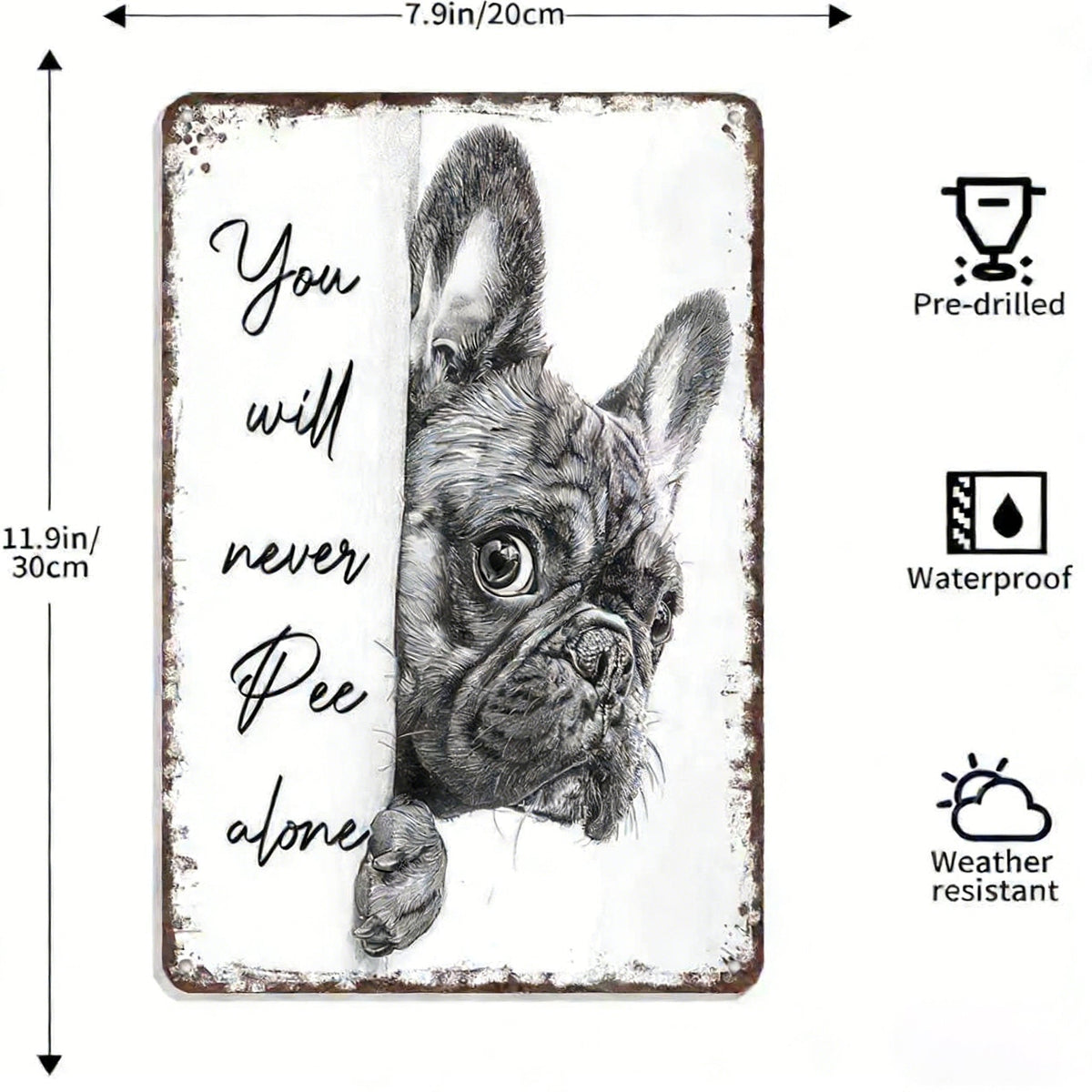 NoirWhiskers - Arte de pared vintage de gatos