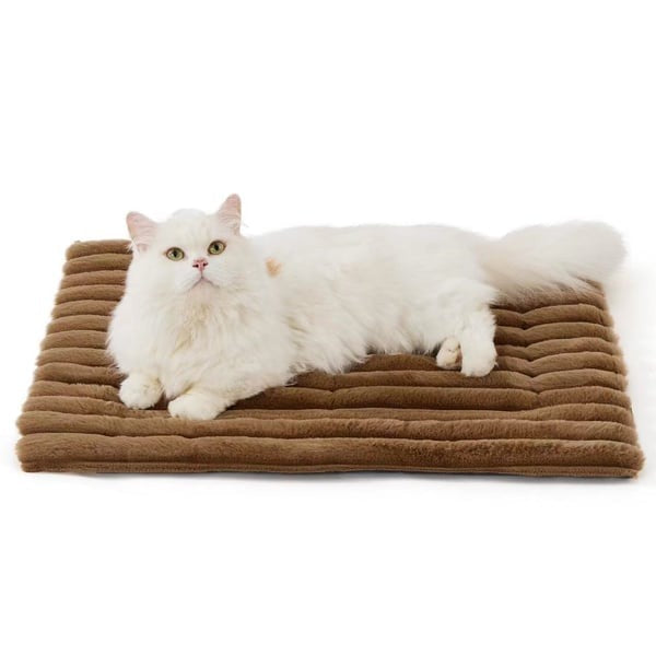 PawTherm – Cama cálida para mascotas sin electricidad