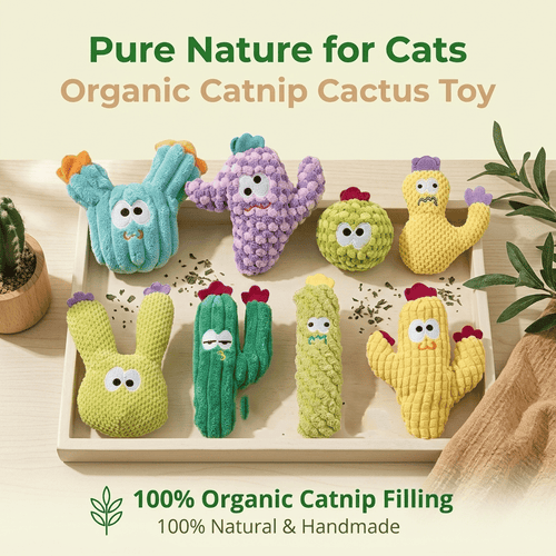 CatnipCove - Colección de juguetes de cactus