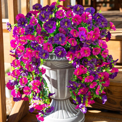 EternaBloom – Pflegefreie Gartenblumen