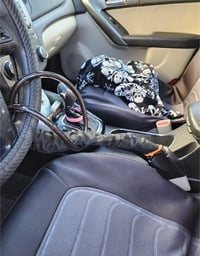 DriveDefender | Sistema antirrobo para coche con bloqueo del cinturón de seguridad y el volante