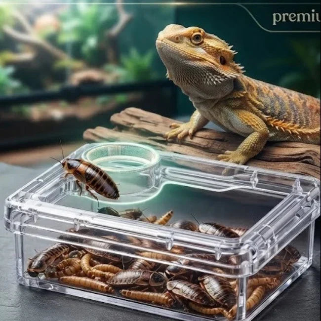 TerraLock – Premium-Ausbruchschutz-Futternapf für Reptilien