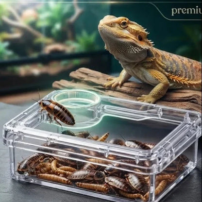 TerraLock – Premium-Ausbruchschutz-Futternapf für Reptilien