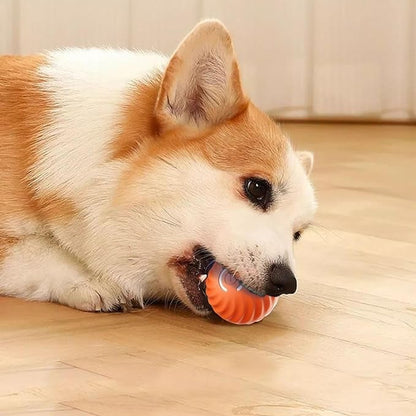 BarkBounce - Pelota interactiva para jugar con perros