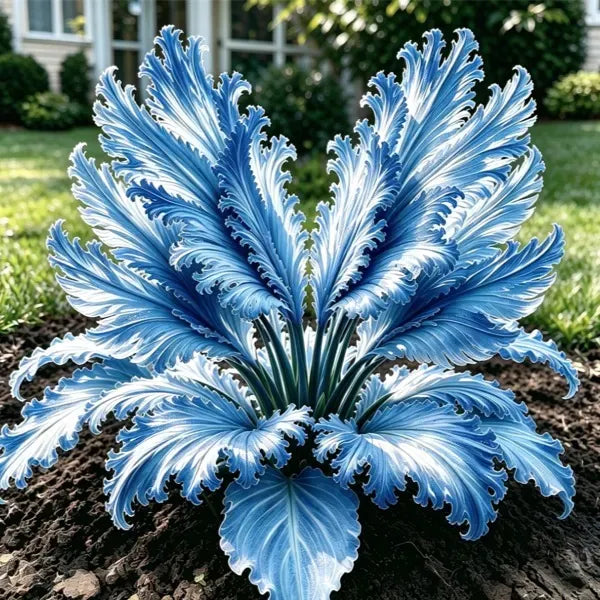 GardenGrace – Swan Feather Funkien-Zwiebelkollektion