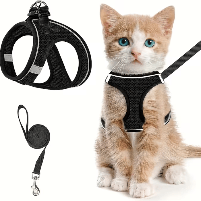 PawFit – Arnés y Correa Ajustable para Mascotas