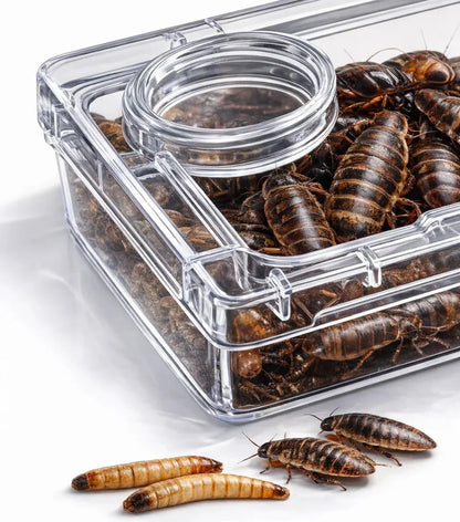 TerraLock – Premium-Ausbruchschutz-Futternapf für Reptilien