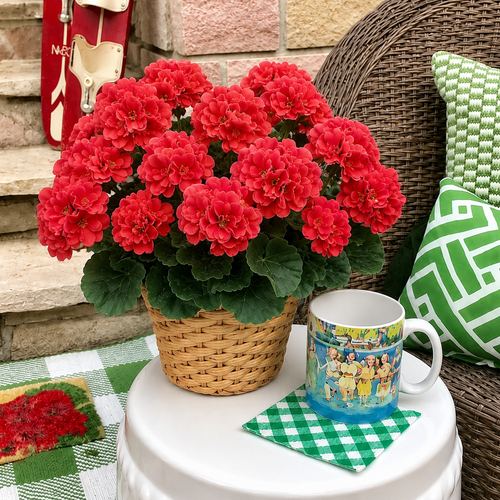 EverBloom – Flores de Geranio Artificiales para Exterior
