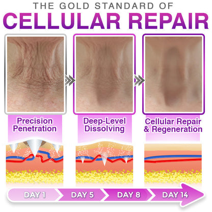 LumeDerm – Parche de microneedles avanzado