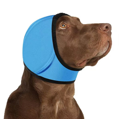 CalmPaw – Beruhigender Ohrenschutz für Hunde