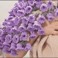 CozyBloom – DIY-Set für handgestrickte Rosendecke