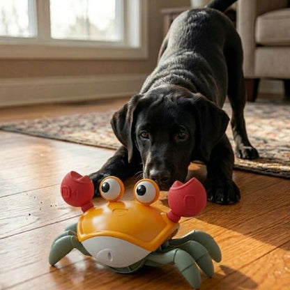 WagScuttle – Cangrejo de juguete interactivo con movimiento