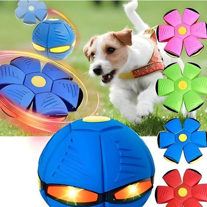 ¡El mejor juguete interactivo 2 en 1 del mundo para mantener a tu perro entretenido durante horas!