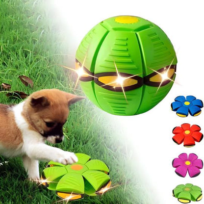 ¡El mejor juguete interactivo 2 en 1 del mundo para mantener a tu perro entretenido durante horas!
