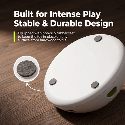 FurFun – Intelligentes interaktives Katzenspielzeug