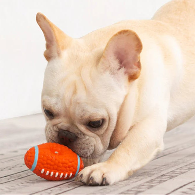 ToughPaw – Robuster Kausball für Hunde