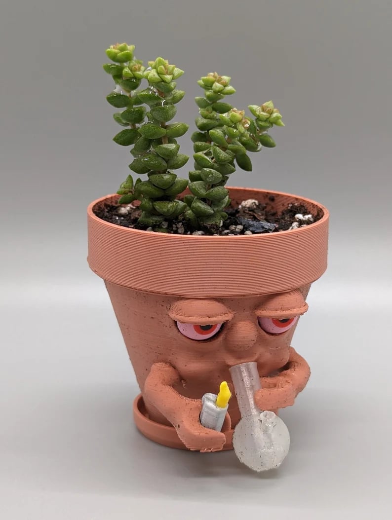 GroovePot – Maceta con Personalidad