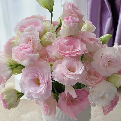 BloomRidge – Semillas de Lisianthus Perennes Resistentes
