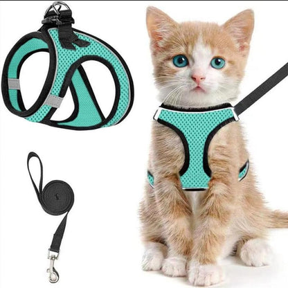 PawFit – Arnés y Correa Ajustable para Mascotas