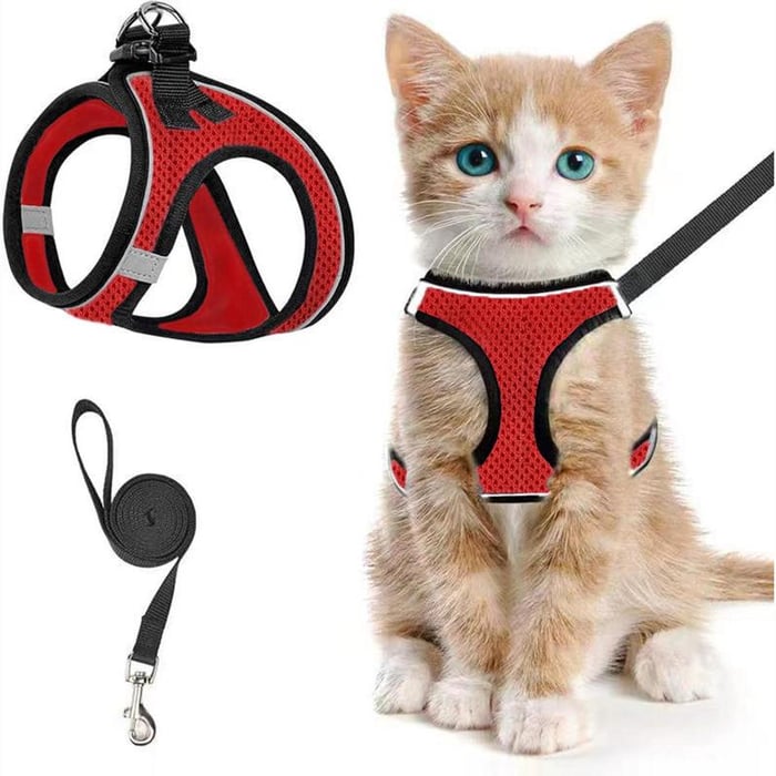 PawFit – Arnés y Correa Ajustable para Mascotas