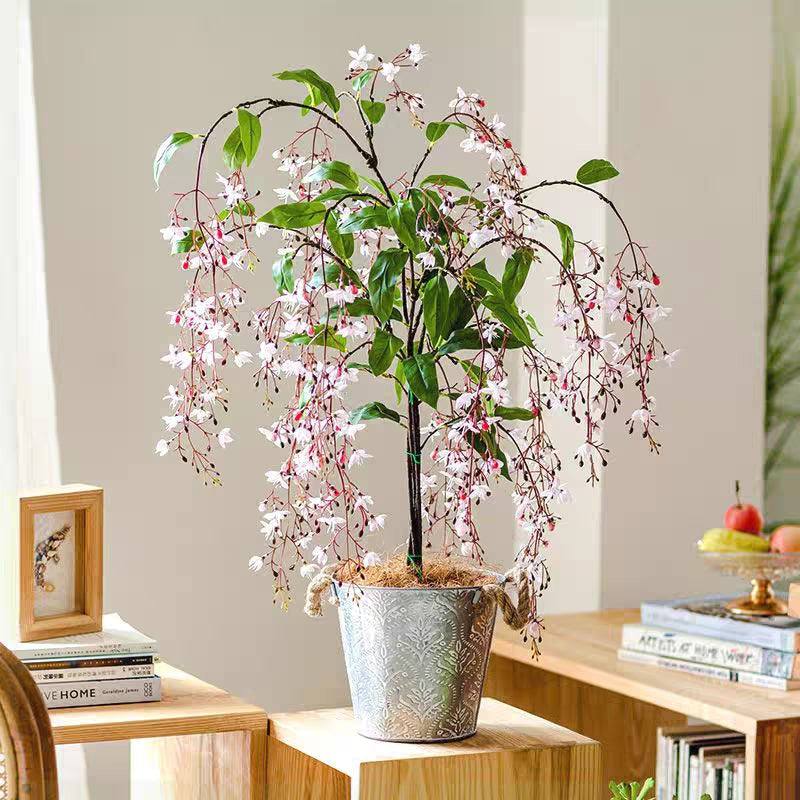 WinterBloom – Planta de jazmín colgante resistente al invierno