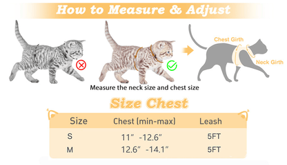 PawFit – Arnés y Correa Ajustable para Mascotas