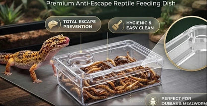 TerraLock – Premium-Ausbruchschutz-Futternapf für Reptilien
