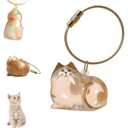 PawMemory – Set de llaveros conmemorativos para gatos
