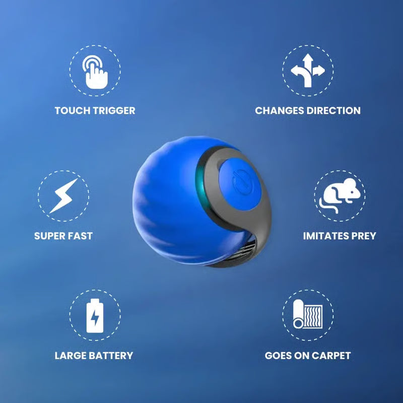 CatChase – Elektrischer rollender Ball