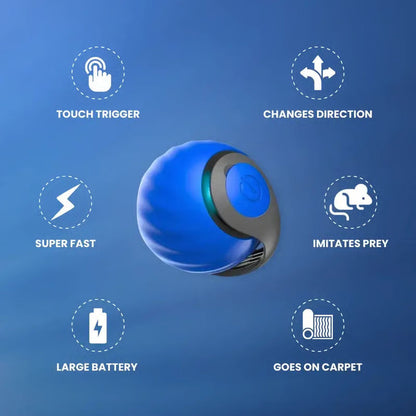 CatChase – Elektrischer rollender Ball