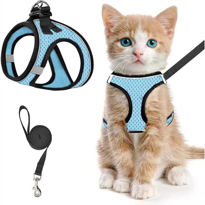 PawFit – Arnés y Correa Ajustable para Mascotas