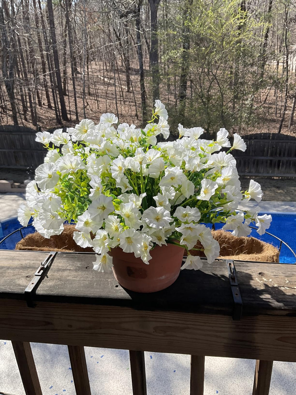 EverBloom – Flores de Petunia Artificiales Resistentes a los Rayos UV