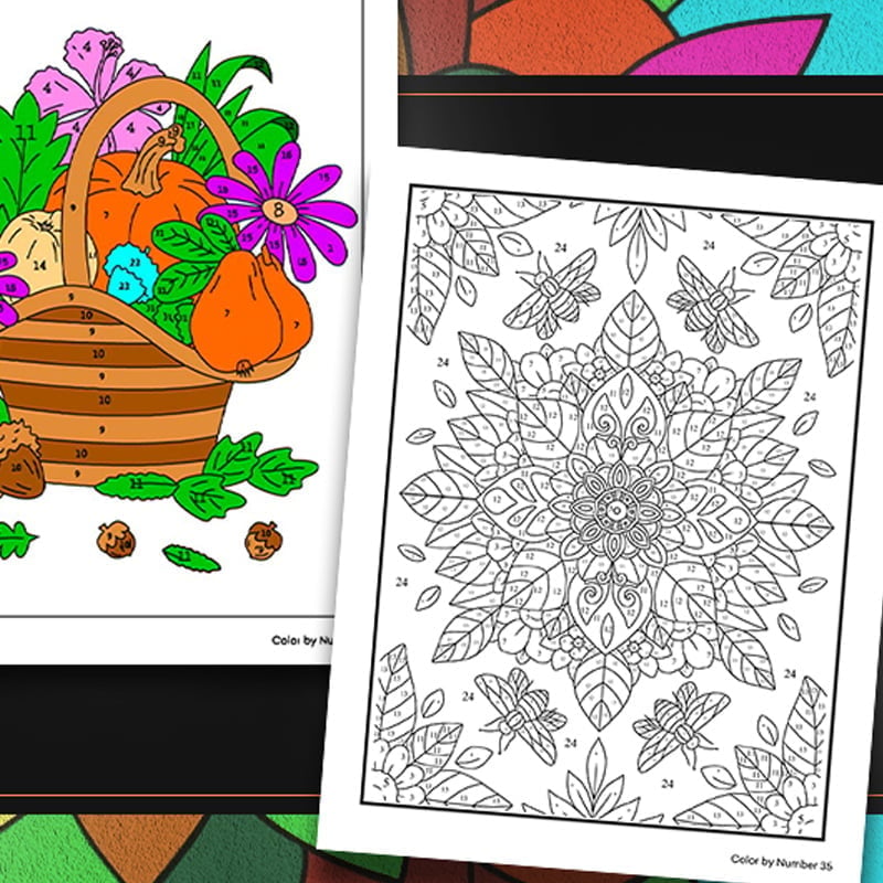 QuietCanvas – Libro para colorear terapéutico para adultos