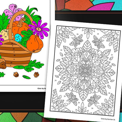 QuietCanvas – Libro para colorear terapéutico para adultos