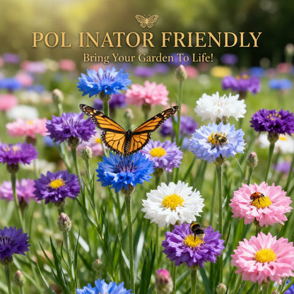 Semillas MeadowMagic – Mezcla de flores aptas para polinizadores