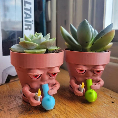 GroovePot – Maceta con Personalidad