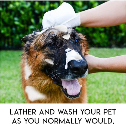 PawComfort – Solución de aseo sin enjuague