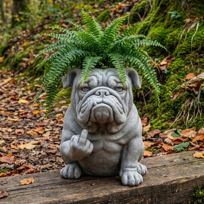 Frenchie Flex – Attitude-Garten-Pflanzgefäß
