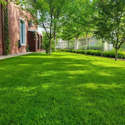 EverLawn – Ganzjahres-Grassaat
