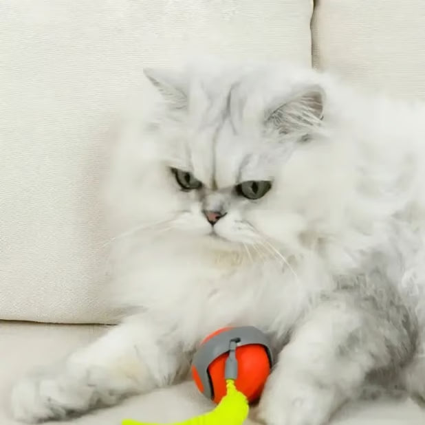 CatChase – Elektrischer rollender Ball
