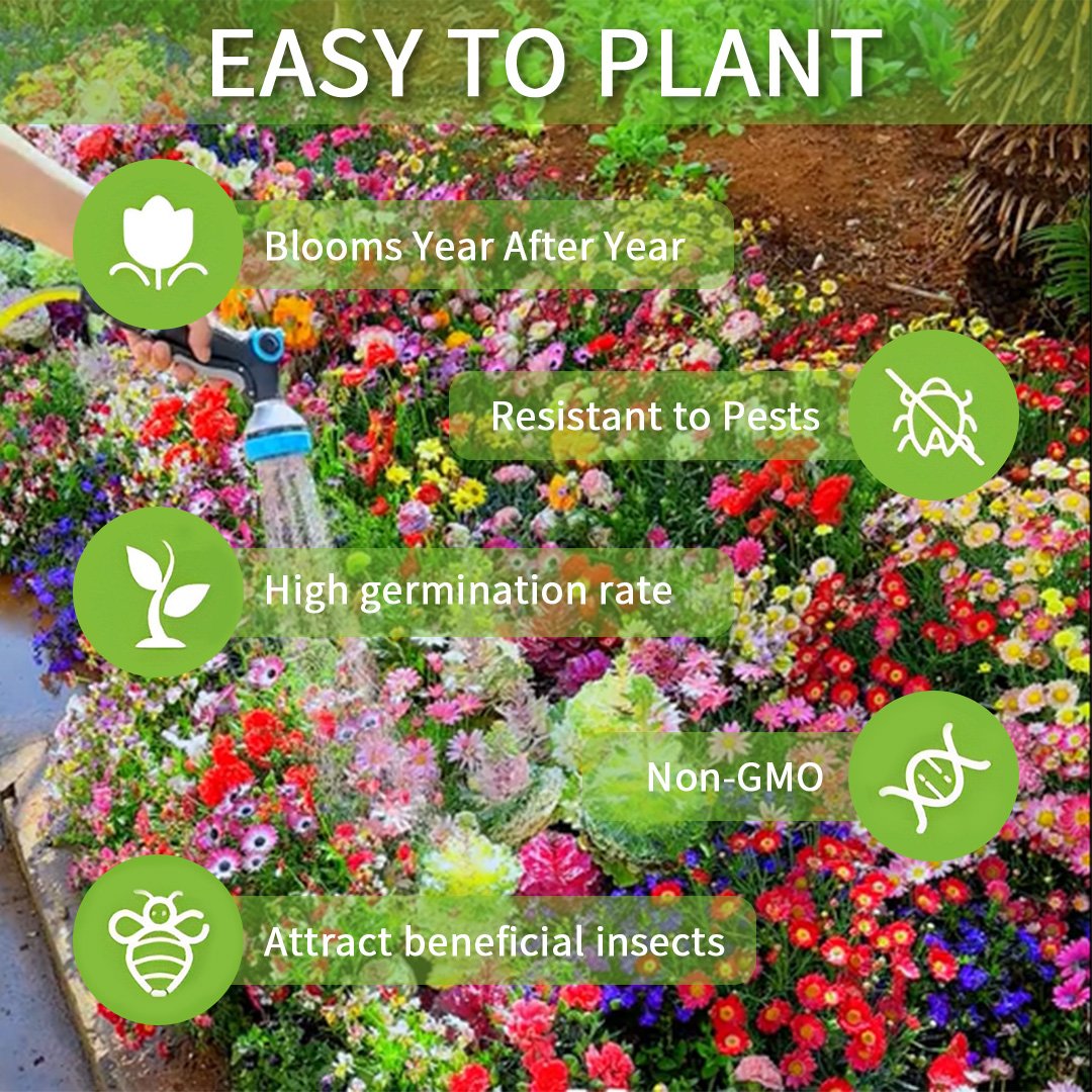 FloraBurst – Colección de semillas de flores perennes mixtas
