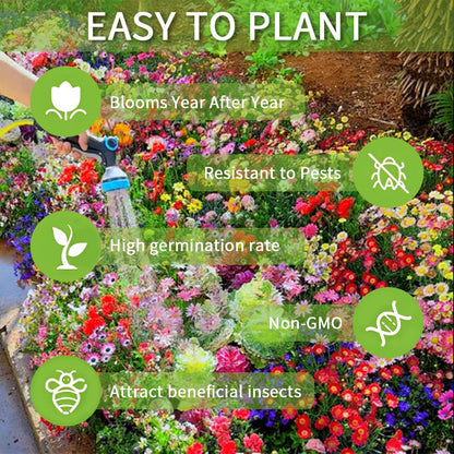FloraBurst – Colección de semillas de flores perennes mixtas