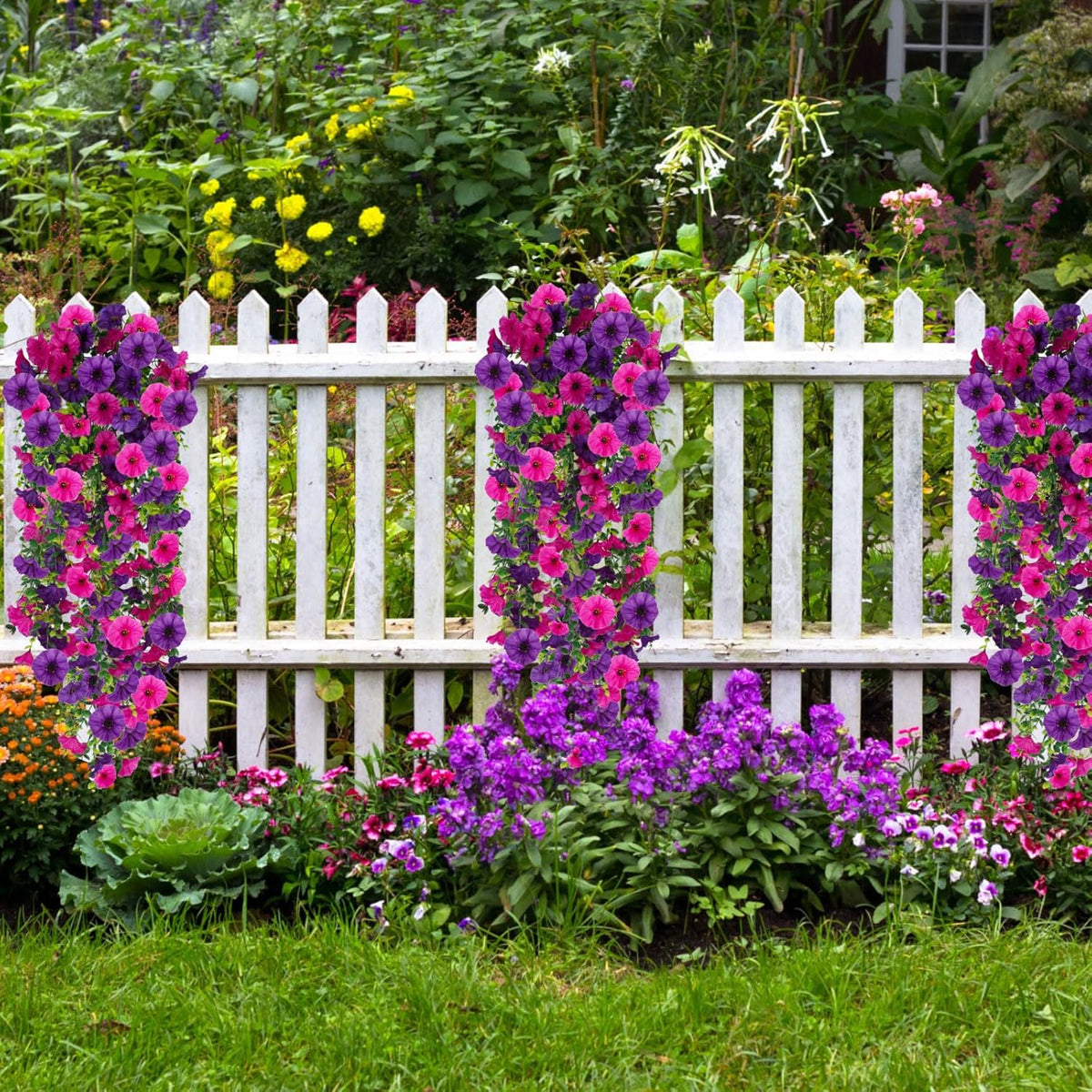 EternaBloom – Pflegefreie Gartenblumen