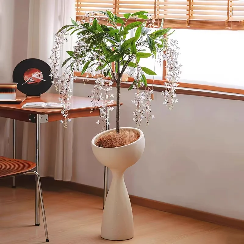 WinterBloom – Planta de jazmín colgante resistente al invierno